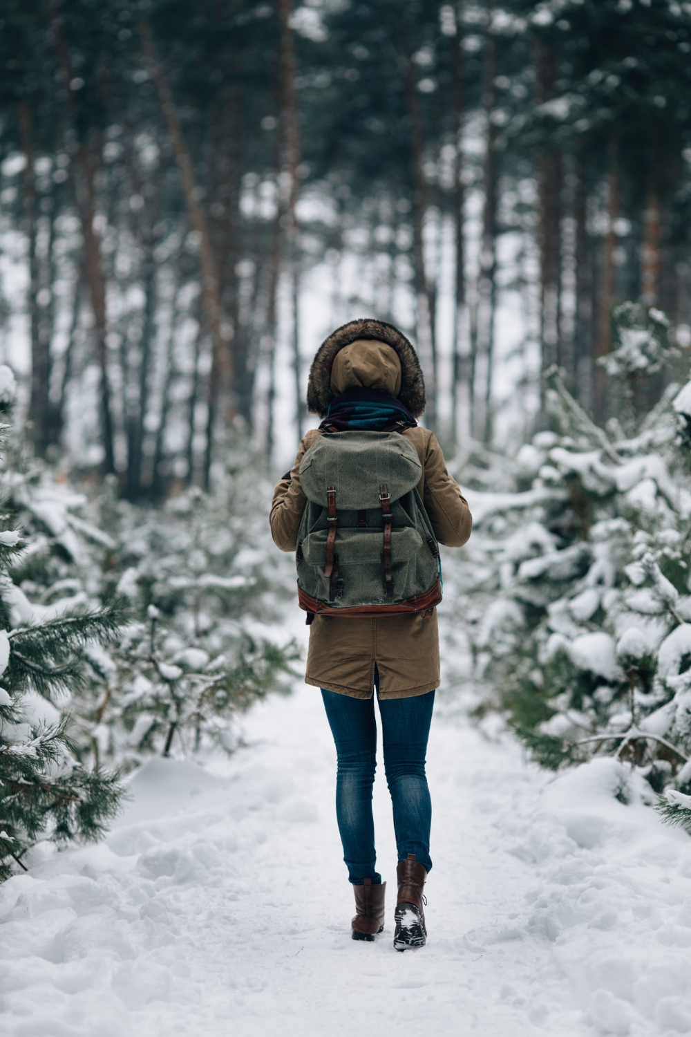 Woman Warm Winter Jacket With Fur Hood Big Travel Rucksack Snowy Winter Forest